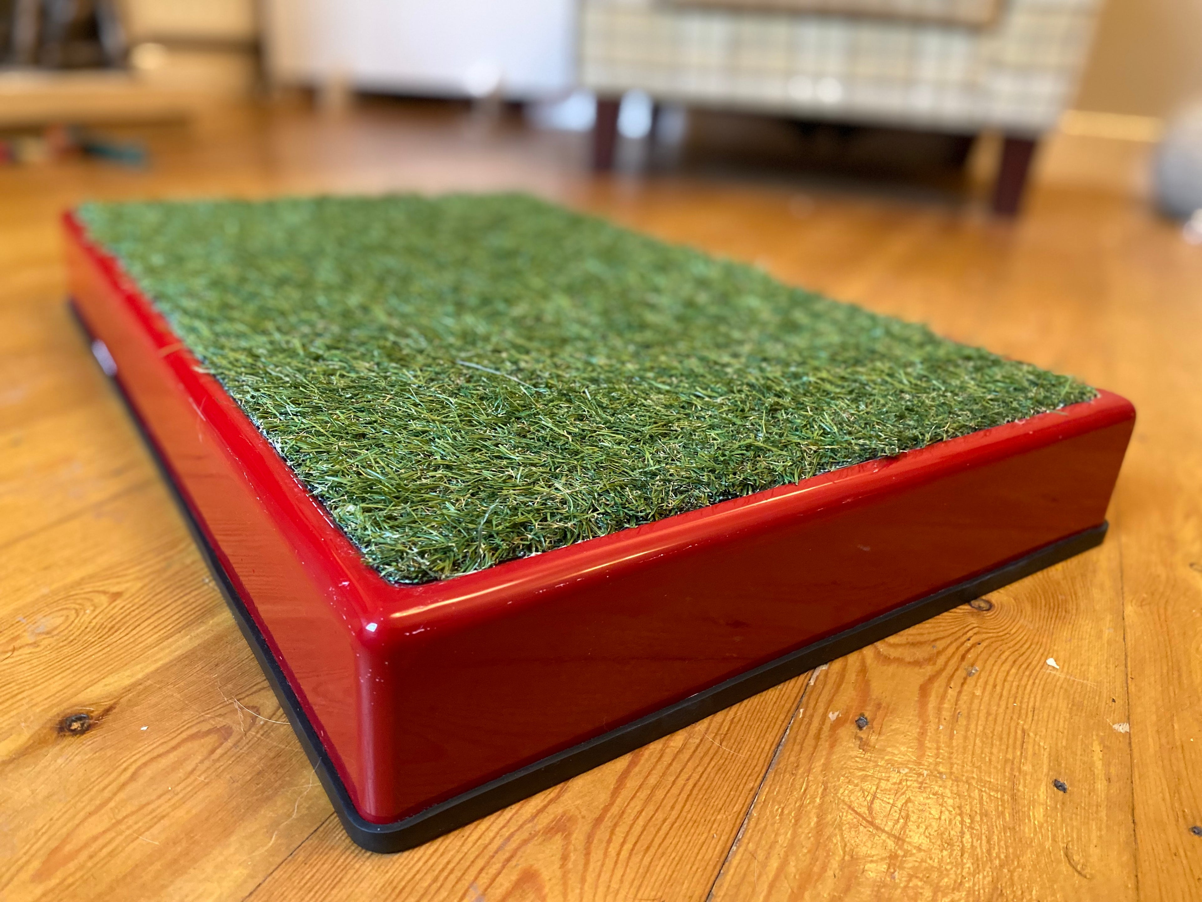 Archie Bear Place Board - Custom Colour