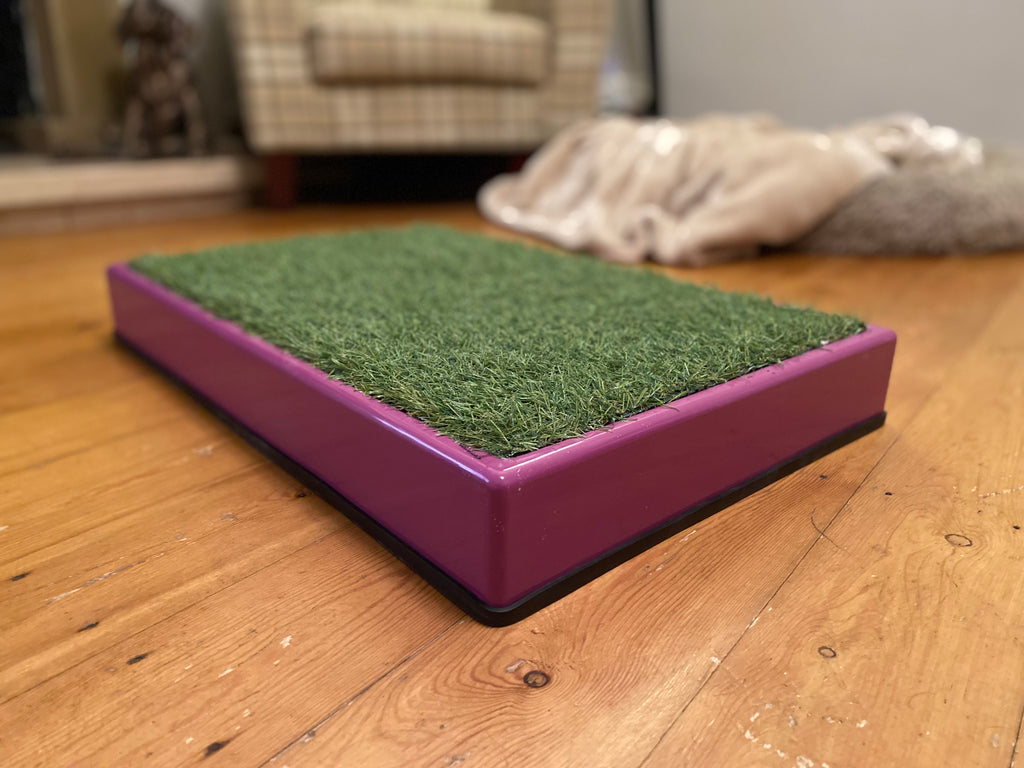 Archie Bear Place Board - Custom Colour