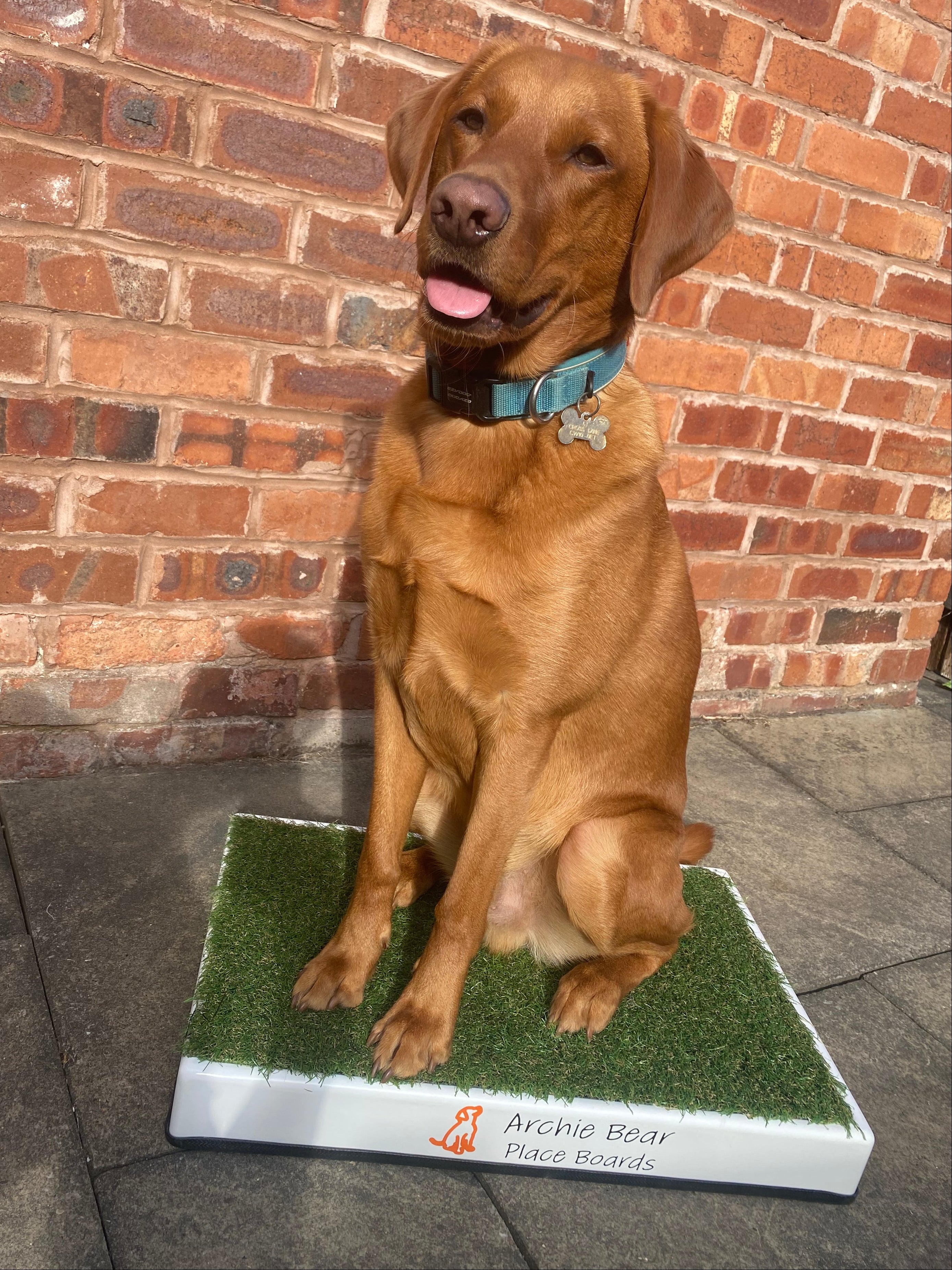 Archie Bear Place Board