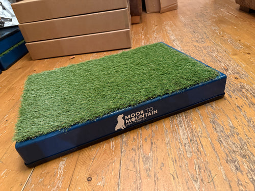 Archie Bear Place Board - Custom Colour